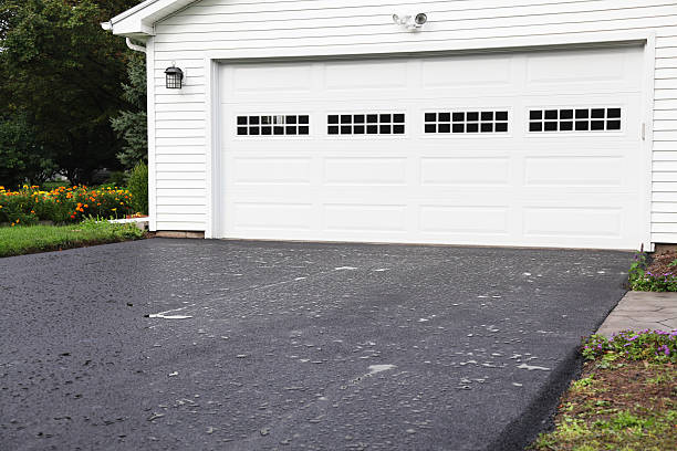 Best Yard Waste Removal  in Ashland, OH